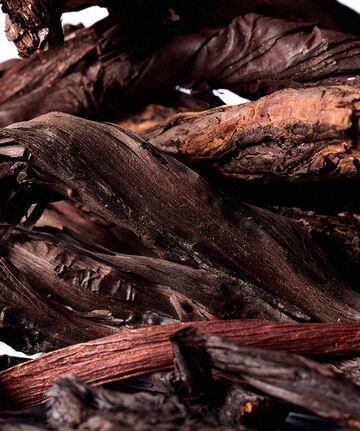 BOTANICAL DYED "SHIKON"