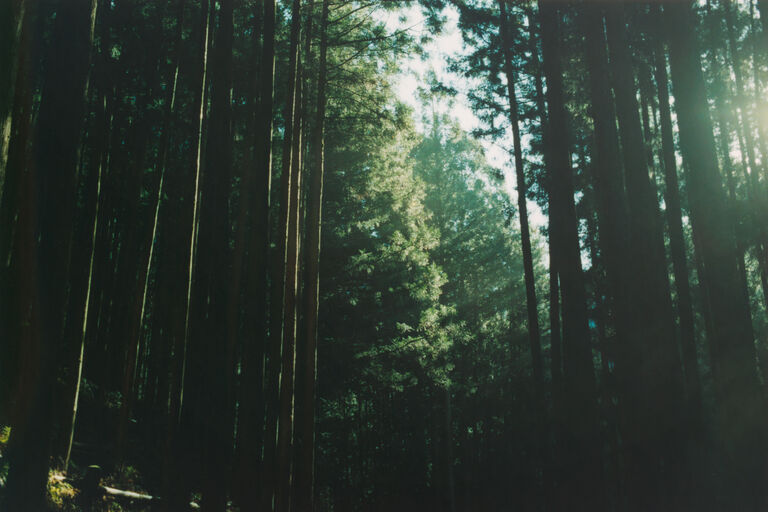 banner image