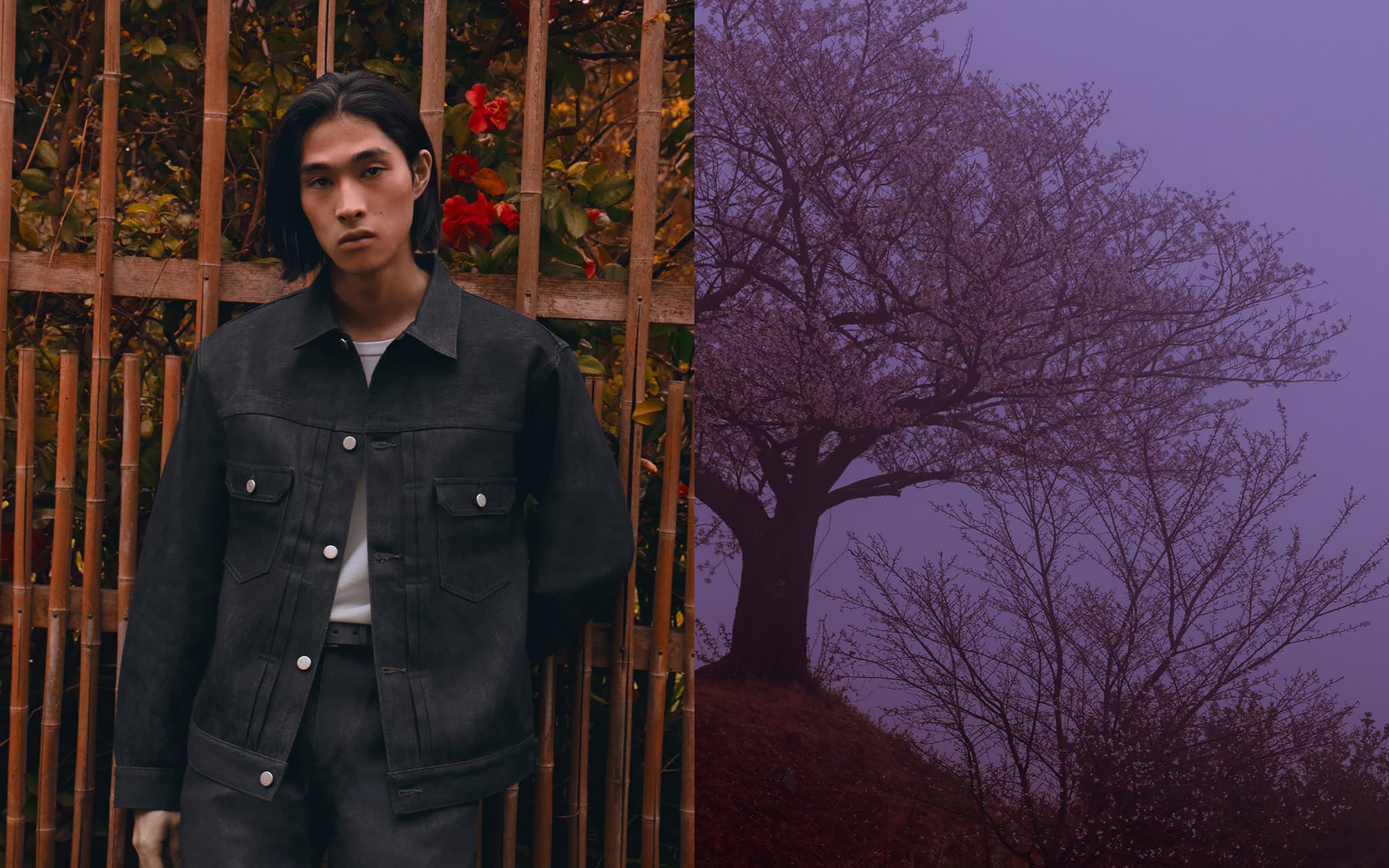 Momotaro Jeans Official Store | Shop Premium Japanese Denim