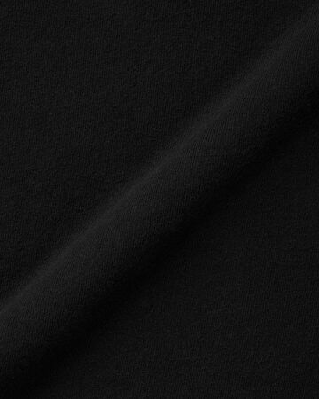 LOOPWHEEL SWEAT HOODY P/O,Grigio, large image number 14