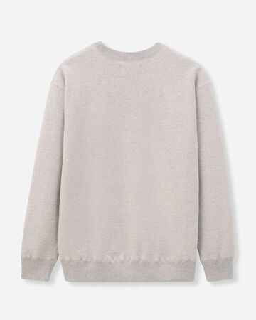HEAVY TERRY SWEAT SHIRT,GRY, small image number 6