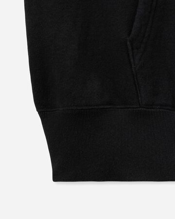 LOOPWHEEL SWEAT HOODY P/O,Grigio, large image number 12